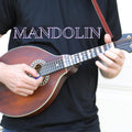Fantastic Finger Guide for Mandolin | Fretboard & Fingerboard Stickers | Mandolin Learning Tools