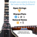 Fantastic Finger Guide for Mandolin | Fretboard & Fingerboard Stickers | Mandolin Learning Tools