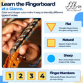 Fantastic Finger Guide Violin Finger Guide, Beginner Note Stickers LH 4/4 | Left-handed violin stickers for an adult beginner, an alternative to violin finger tape for learning notes and finger spacing