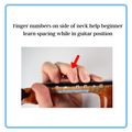 Music Teacher FREE Sample D Major Beginner Guide for Violin