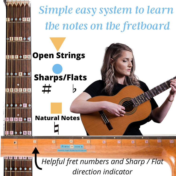 Acoustic Notes Instruments Acoustic Guitar Fretboard Notes