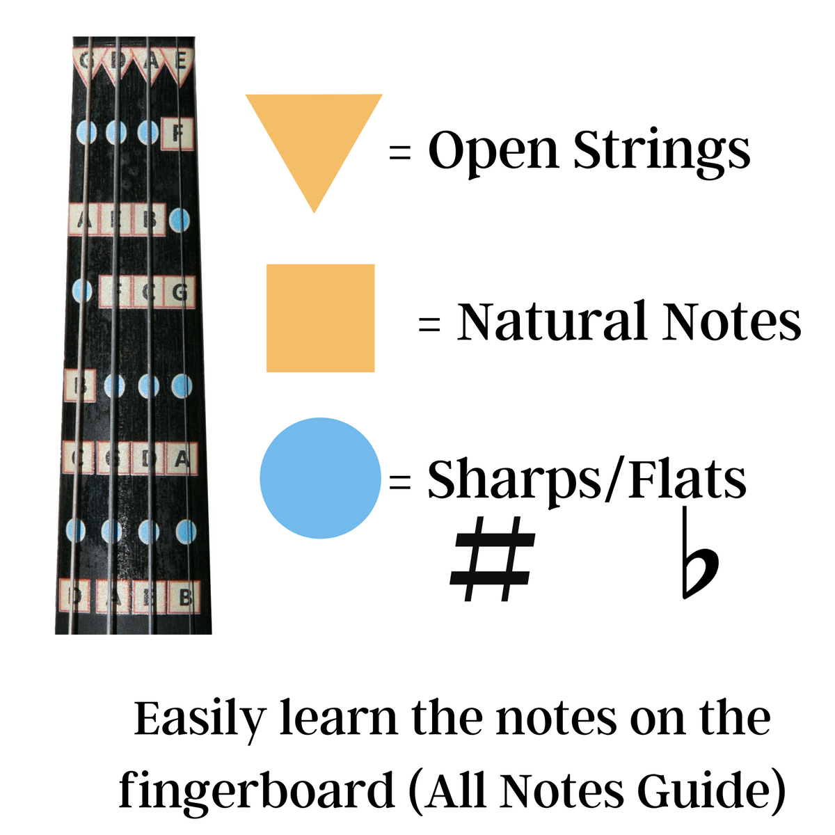Violin Finger Guide Combo Pack Fantastic Finger Guides