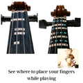 Violin Combo Pack - All Notes & Beginner D major