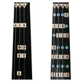 Violin Combo Pack - All Notes & Beginner D major